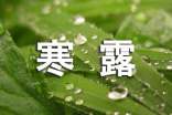 寒露时节文案最新
