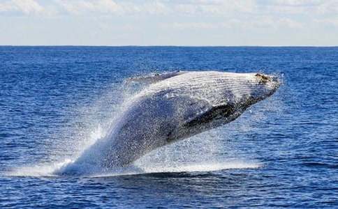 ������ʲô��������-������ʲô���������