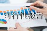 可行性报告格式