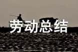 劳动总结年级作文