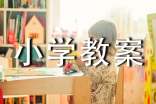 《小摄影师》小学教案