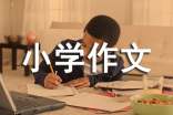 关于我爱书法小学作文汇编七篇