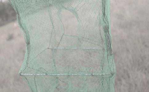 С����-�ҵ��İ�֮������