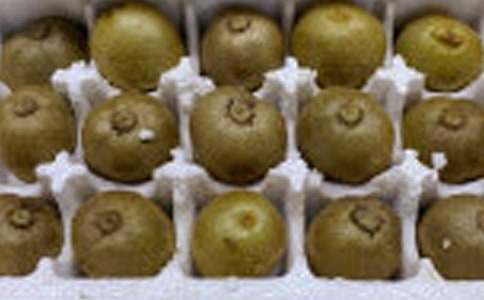 ժ⨺�������