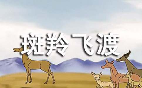 ������ɶɡ�����С����š�