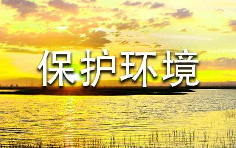 �������������ʾ��