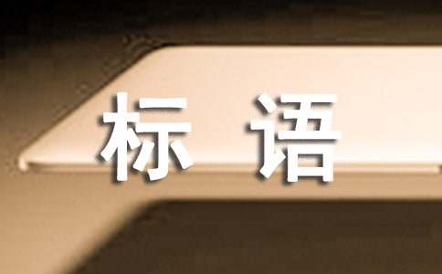 金融宣传标语【热门】