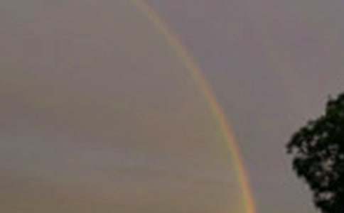 ���ʺ�롷�����