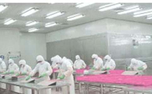 �������伨Ч���˷���7ƪ