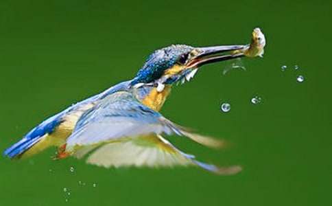 �����ѧ���15ƪ