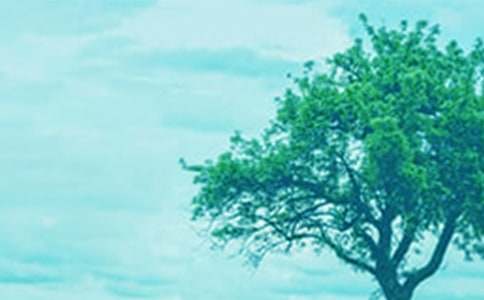 �滭���������Ľ̰�