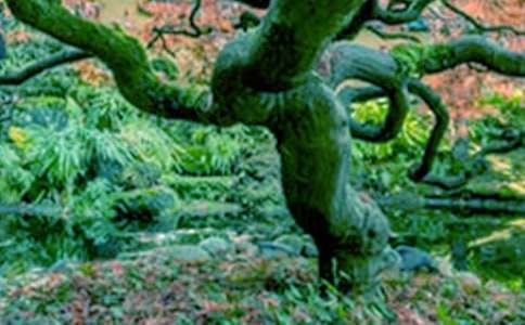 С�������������������