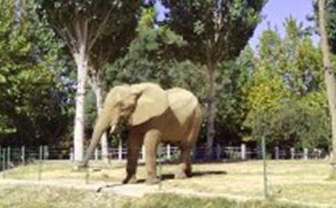 С�������̰��������С��