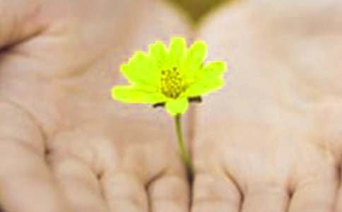 ���׵�Ǹ��