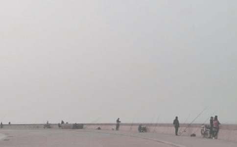 ���������ʾ����ѧ���15ƪ