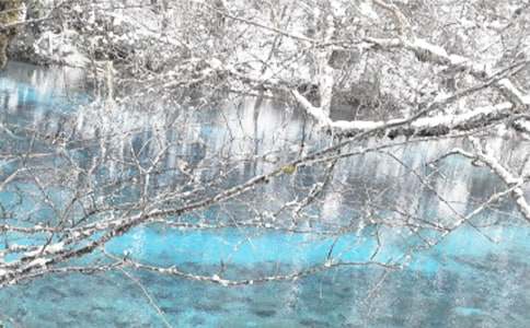 ��������С��ʶ�㲥��