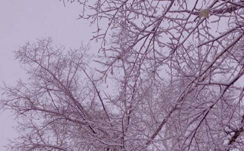 冬日的温柔简短文案