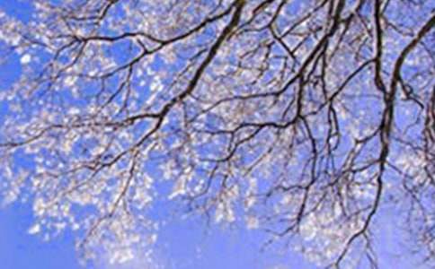 冬天活动教学设计