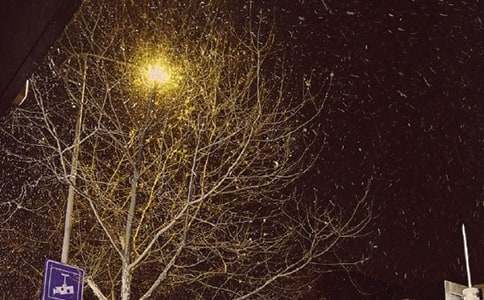 小班艺术教案:冬天的树