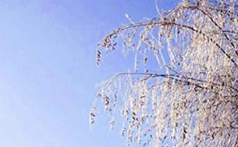 ���ϵĶ������꼶�̰����