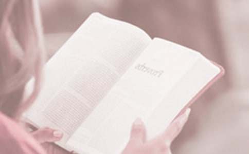 ��������������ݽ�