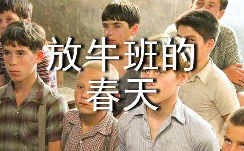 ��Ӱ��ţ��Ĵ���ۺ��