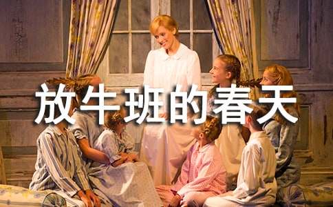 ��Ӱ��ţ��Ĵ���ۺ��(10ƪ)