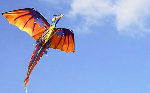 清明节放风筝作文500字(通用10篇)