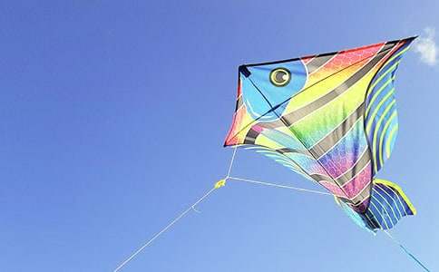 ������ķ��ݡ������