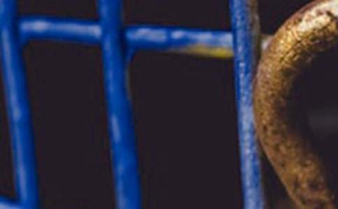 ���������ĵ����