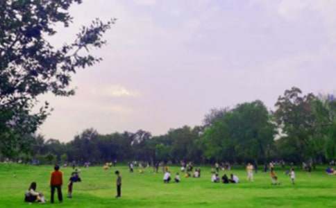 ���ֹ�԰����(4ƪ)