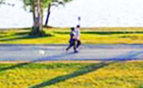 ��԰ʵϰ����