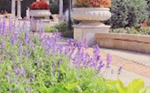 ���ֹ�԰����4ƪ