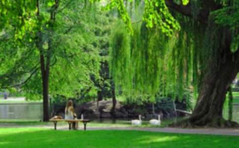 ͤ�ֹ�԰����(��ѡ7ƪ)