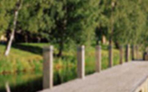 锦林佛手文化公园作文(精选26篇)