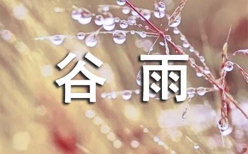 国学谷雨教案