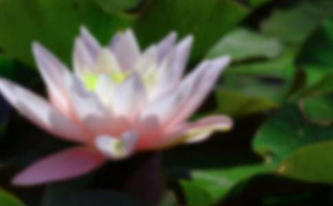 �����ɻ����и�12ƪ