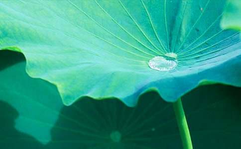 ����ҶԲԲ����ѧ���