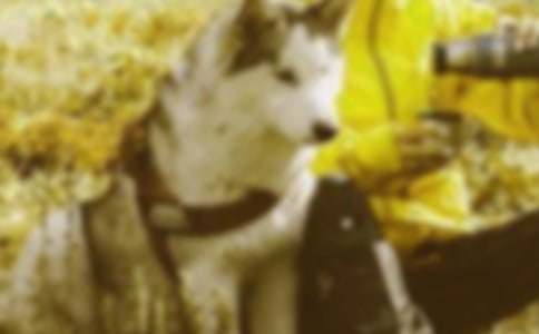 和谐杯摄影展策划书