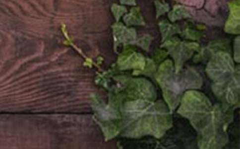 大班艺术活动方案红色中的和谐