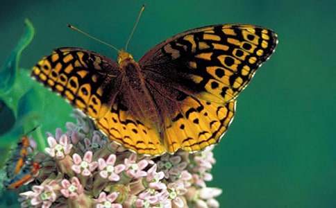 �а������̰������ĺ�����ͨ��11ƪ��