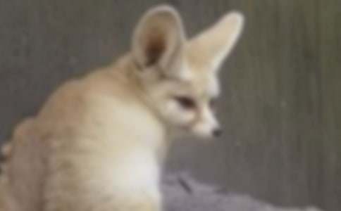 ��ͨ�á����ٱ�����ƭһ�Ρ������12ƪ