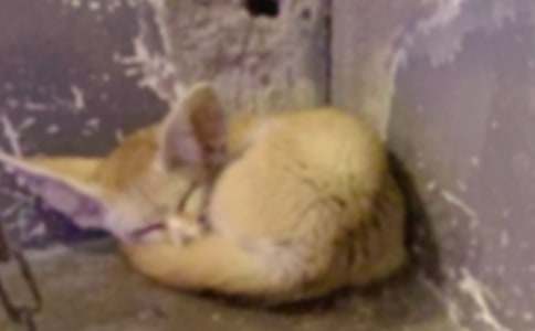 ���˲���ĺ���ְ֡������ͨ��15ƪ