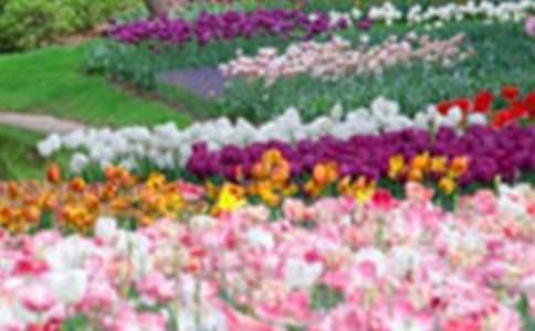 ���˻�԰�����