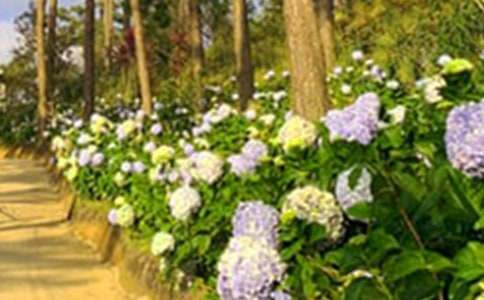 �����˵Ļ�԰����ѧ��ƣ�ͨ��6ƪ��