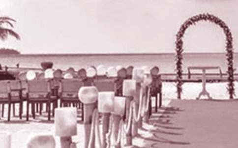 �������ִʿ����׷�������10ƪ