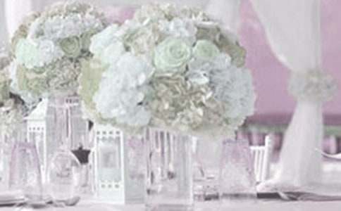 ��������´�