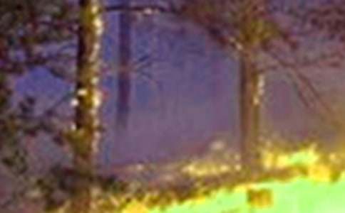 ���°칫¥�����¹�Ӧ��Ԥ��