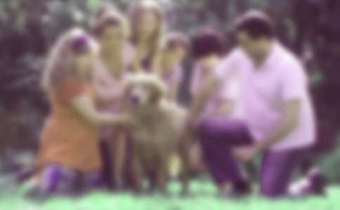 ��Сѧ����ͥ���������Ĺۺ��5ƪ