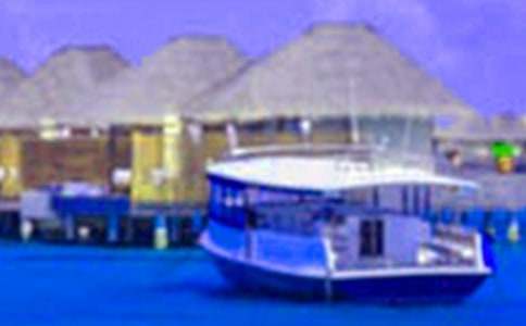 ��ѧ�����ڱ�֤��